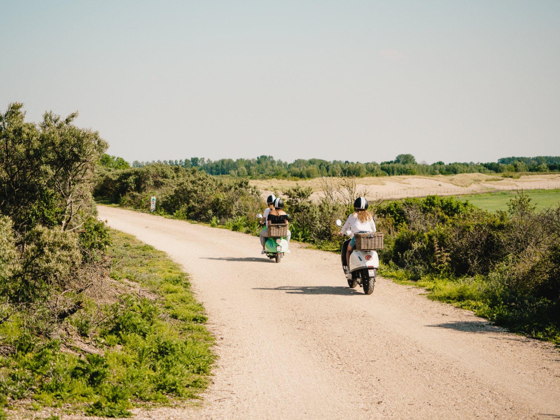 Vespa in nature reserve