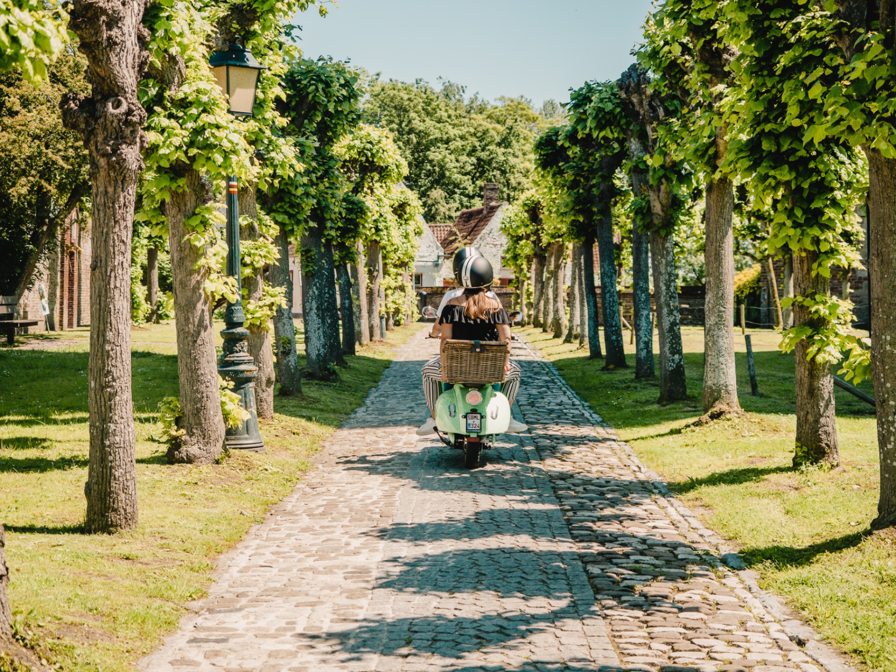 Riding through tree-lined path